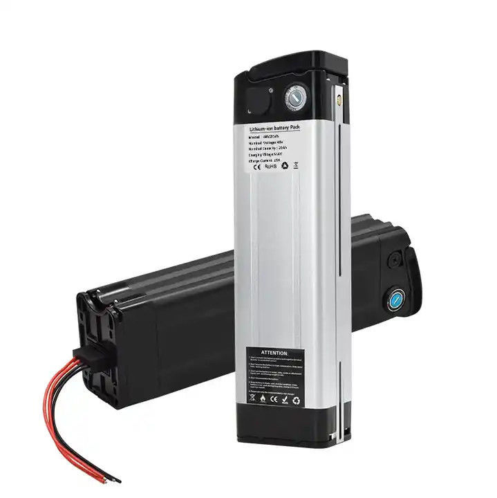แบตเตอรี่ปลาเงินคุณภาพสูง 48V 20ah แบตเตอรี่ไอออนลิเดียม E-Bike สําหรับ 1000W ไฟฟ้าจักรยานยนต์ Ebike Akku